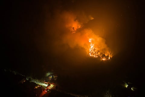 Wildfires burn in a forest by houses near Concepcion, Chile.