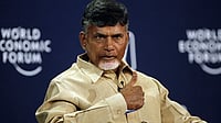 Andhra Pradesh Chief Minister N. Chandrababu Naidu
