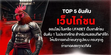 TOP 5 เว็บไก่ชนออนไลน์ UFABET อันดับ 1 ไทย แทงไก่ชนครบทุกคู่ ถ่ายทอดสดทุกเวทีดัง