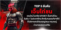 TOP 5 เว็บไก่ชนออนไลน์ UFABET อันดับ 1 ไทย แทงไก่ชนครบทุกคู่ ถ่ายทอดสดทุกเวทีดัง TOP 5 เว็บไก่ชนออนไลน์ UFABET อันดับ 1 ไทย แทงไก่ชนครบทุกคู่ ถ่ายทอดสดทุกเวทีดัง