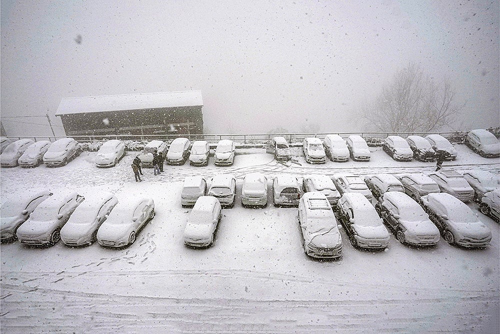Weather: Snowfall in Shimla