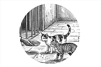 How Hope Outlives The Cell: Voices From India’s Political Prisoners | Illustration: Saahil : "I have also found solace in the
animals of Tihar. I used to feed
two cats—Shilpa and Shyamlal.
Eventually, Shilpa had two
kittens, whom I named Black
Panther and Stuart Little."