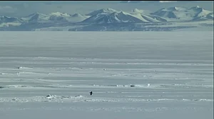 Screengrab from original video