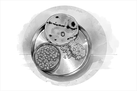 "You will be surprised to know that the Model Prison Manual of 2016 has not even been enacted in Jharkhand prisons. Hence we get Chana-gud for breakfast, Rice, daal and Sabji for lunch and Roti, daal and Sabji for dinner. Apart from this mutton is served only once in a week. Still mutton used to be served once in a month only. It
was only after the protest that mutton began being served once a week."