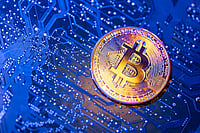 Is This Rally Real? How Volume Divergence Exposes Bull Traps