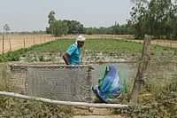 Vikram Sharma : Farmer in Bareli
