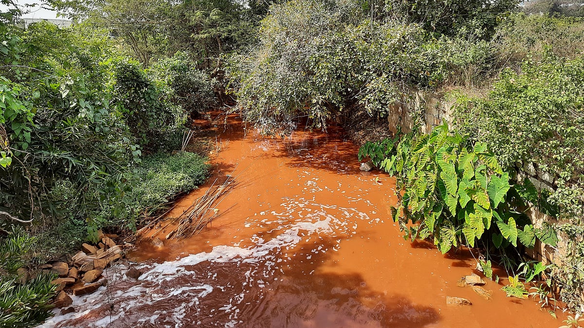 Red mud wash off into river.jpg