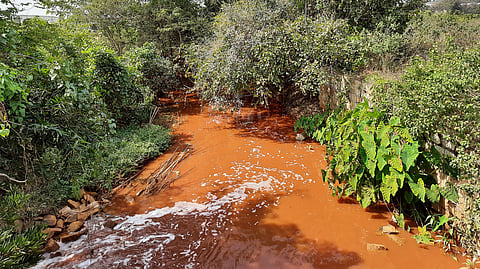 The mines, necessary for development, destroyed forests in Chhattisgarh and dumped a lot of dirt in the rivers