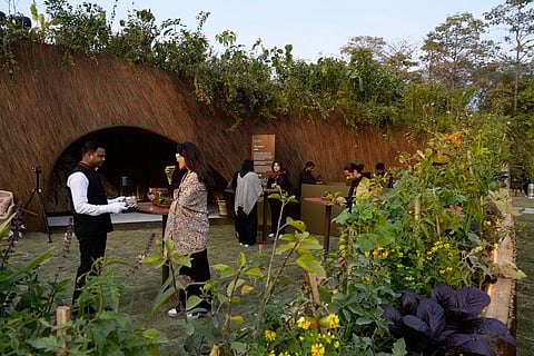 Aranyani Pavilion's Spiral canopied by indigenous plant species.