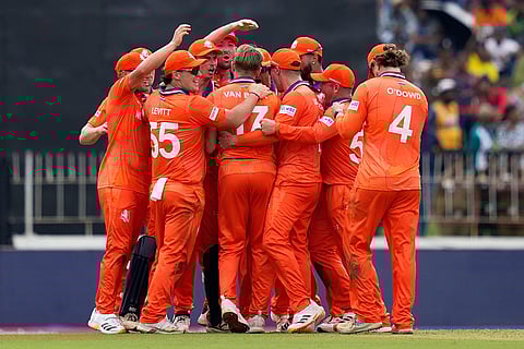 Netherlands' players celebrate the wicket of Pakistan's Shadab Khan during the T20 World Cup cricket match between Netherlands and Pakistan in Colombo, Sri Lanka.