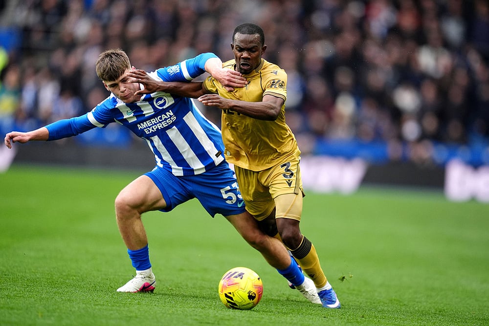 Brighton vs Crystal Palace Premier league soccer match-Harry Howell