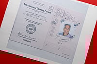 With Epstein Files Out In The Open, What The Global Fallout Is AP Photo/Jon Elswick : A document that was included in the U.S. Department of Justice release of the Jeffrey Epstein files, photographed Wednesday, Feb. 4, 2026, shows an April 2012 International Driving Permit for Epstein.
