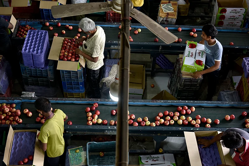 Reduced Duties On Apples From US, Other Countries, A Major Setback For Kashmiri Farmers