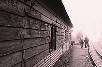 | Animikh chakrabarty