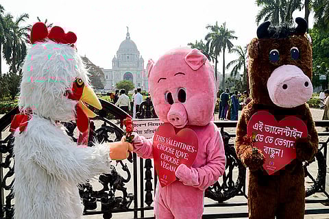 Volunteers from 'Mercy For Animals India' dressed as a chicken, pig and cow during an awareness campaign titled 'Choose Love; Choose Vegan' on the eve of Valentine's Day, in front of the Victoria Memorial, in Kolkata.