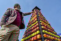 Day In Pics: February 14, 2026 | Photo: PTI : An entrepreneur arranges Kashmiri apples displayed in a pyramid-shaped stall at the agri-tech mela Gongul organised by SKUAST-K at its Shalimar campus, in Srinagar.