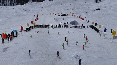 Special Arrangement/SAI