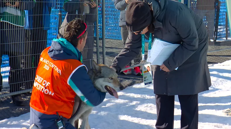 Winter Olympics 2026: Loose Dog Joins Women’s Team Sprint Race In Tesero, Italy