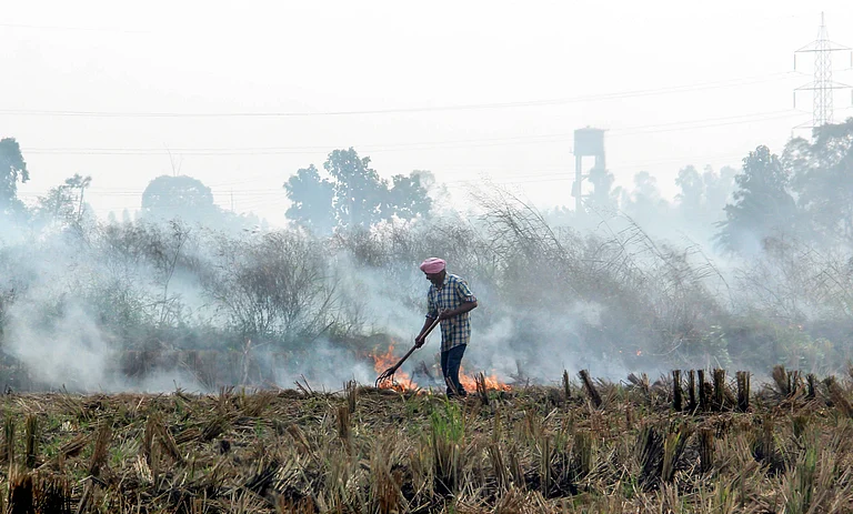 A man seen burning paddy stubble in a village at Rajpura Road, in Patiala, Punjab - IMAGO / ANI News