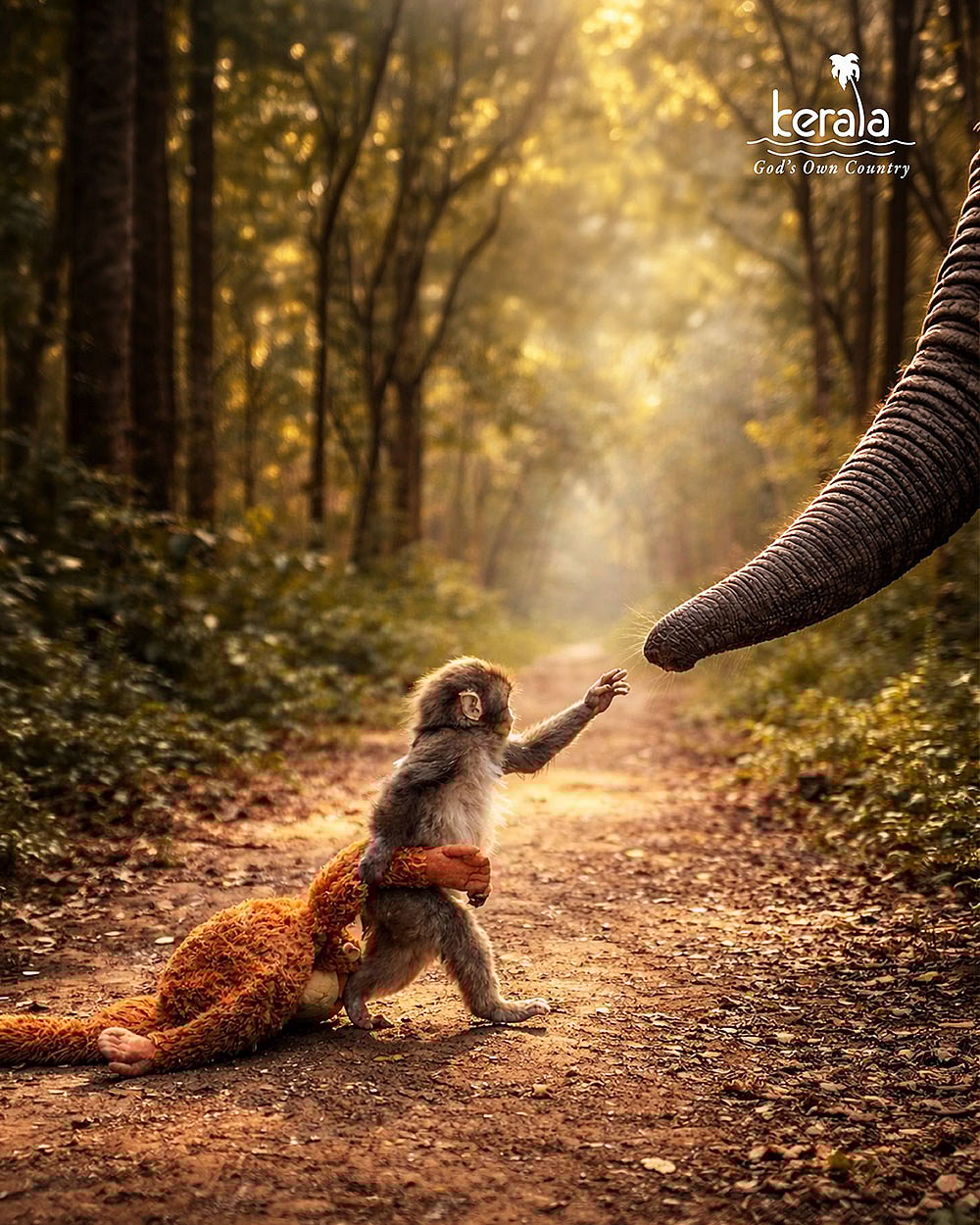 viral animal marketing campaign