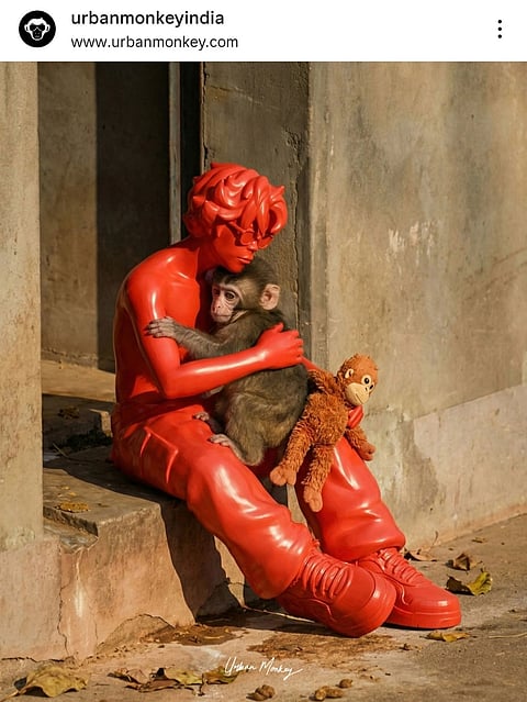 An Urban Monkey advert featuring Punch