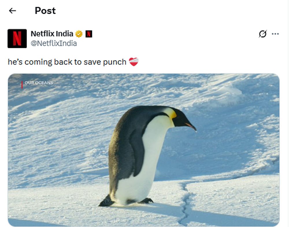 Japan viral zoo story