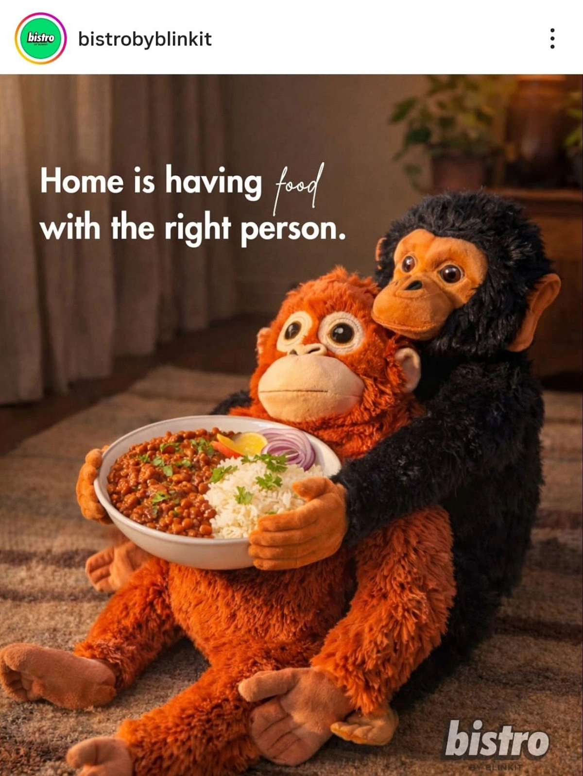 Punch-Drunk Love macaque