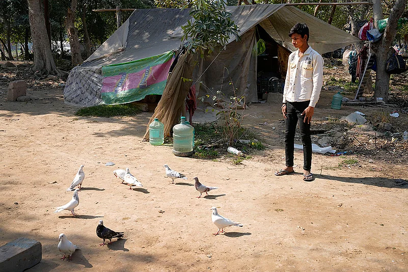 Pigeon keeper in Delhi