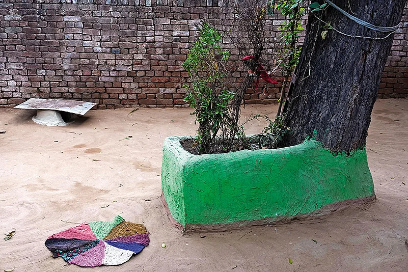 The tulsi sapling that she planted reminds the family of her absence