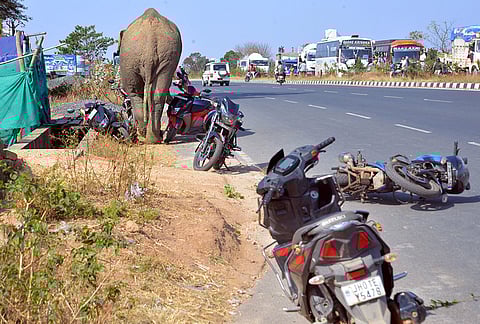 A wild elephant pushes two-wheelers in a residential area, in Ranchi, Jharkhand. 