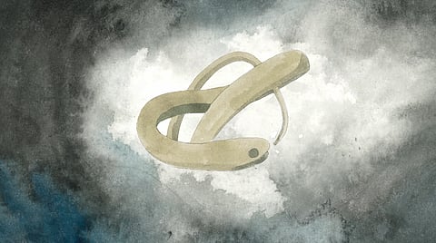 Rhythm of a Flower Still