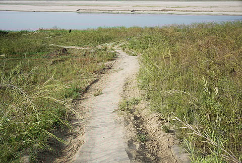 A trail leading to Yamuna from Phoolan’s Village