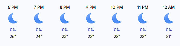 South Africa Vs New Zealand