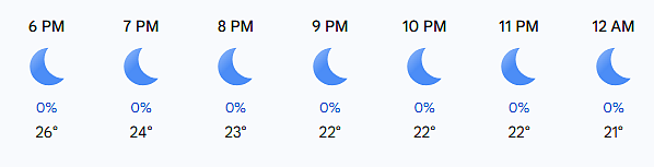 South Africa Vs New Zealand