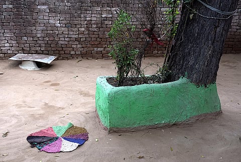 The tusli sampling plant by the victim who was raped and murdered at hathras reminds her absence