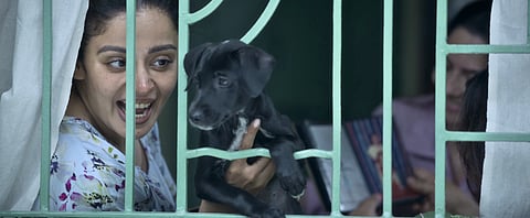 A still from ‘Tighee’ (2026)