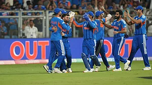 AP : Indian players celebrate the dismissal of England's Will Jacks during the T20 World Cup cricket semi-final match between India and England.