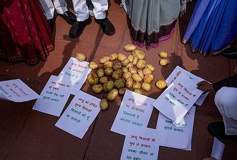 Samajwadi Party (SP) MPs stage a protest over potato prices, during the second part of Budget session of Parliament, in New Delhi.