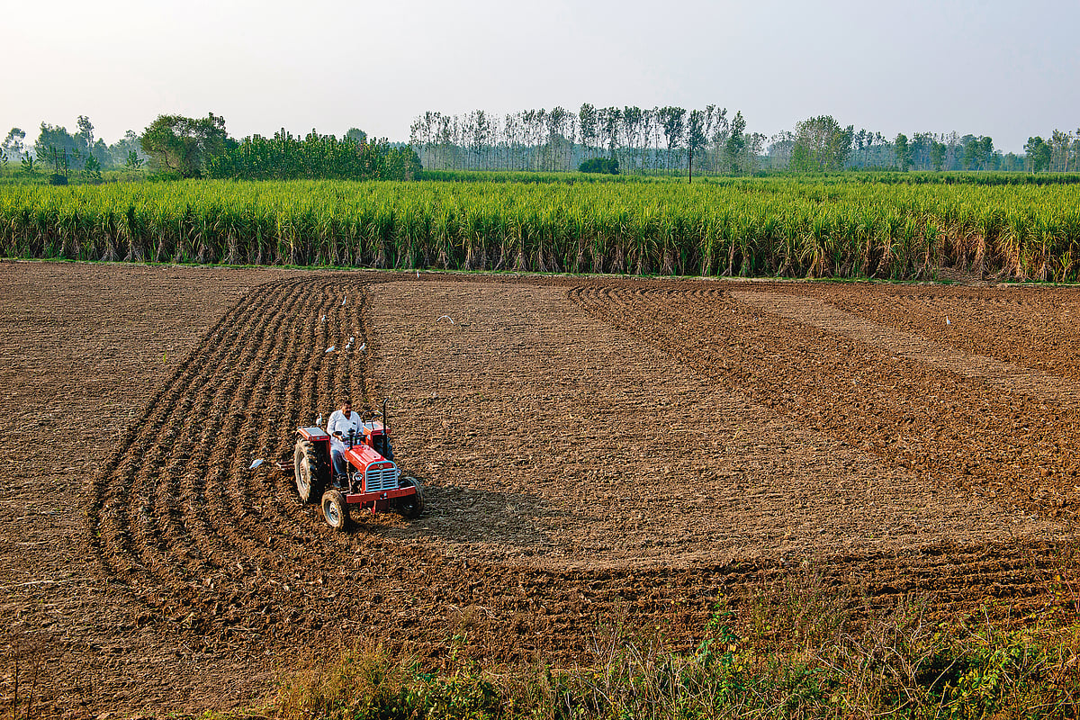 A tractor tills farmland while birds follow across a rural agricultural landscape in UP - null