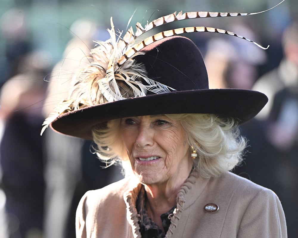 Britain Racing Cheltenham Festival photos-Queen Camilla