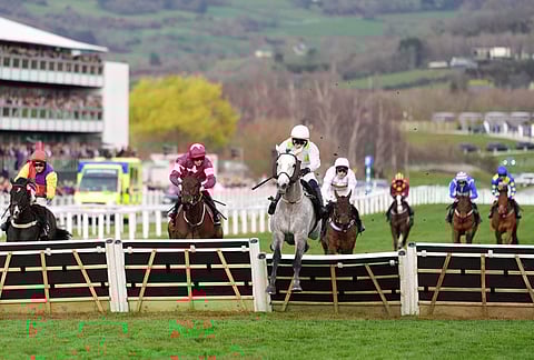 Lossiemouth ridden by Paul Townend on his way to win the Champion Hurdle on day one of the 2026 Cheltenham Festival at Cheltenham Racecourse, in Cheltenham, England.