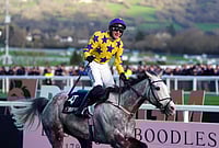 | Photo: Adam Davy/PA via AP : Jockey Paul Townend celebrates on Il Etait Temps after winning the Queen Mother Champion Chase on day two of the 2026 Cheltenham Festival at Cheltenham Racecourse, in Cheltenham, England.