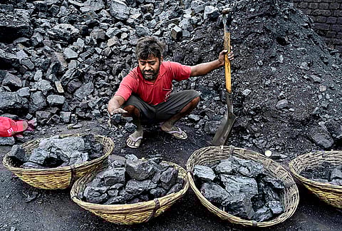 A worker collects coal in bamboo baskets for household and commercial uses amid LPG supply disruptions, in Nadia.