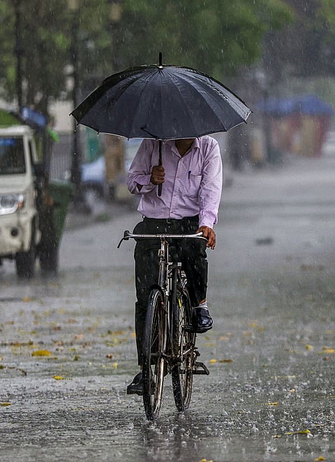 A man rides a bicycle during the rain, in Prayagraj.