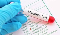 ICMR Invites EoI To Commercialise Technology For Species-specific Malaria Detection