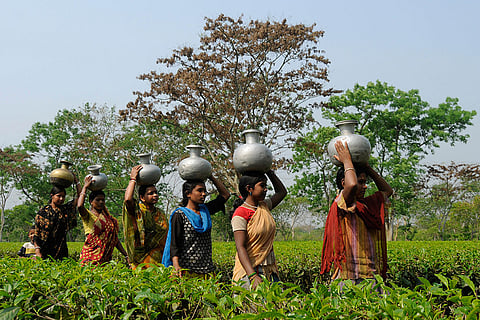Women carry water in pots across a field on the occasion of World Water Day, on the outskirts of Agartala.