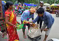 War In West Asia Disrupts Tomato Exports: Jharkhand's Farmers Forced To Sell Produce At Low Prices IMAGO / ANI News : Because of the war on Iran unleashed by US and Israel, the export of perishable vegetables like tomatoes has been disrupted.