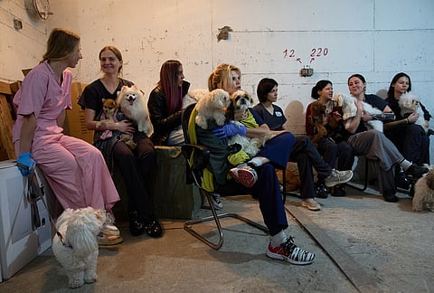 Dog salon workers take cover with the dogs in a bomb shelter as air raid sirens warn of incoming Iranian missile strikes in Ramat Gan, Israel.