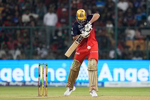 Royal Challengers Bengaluru's Tim David bats during the Indian Premier League cricket match between Royal Challengers Bengaluru and Sunrisers Hyderabad in Bengaluru, India.