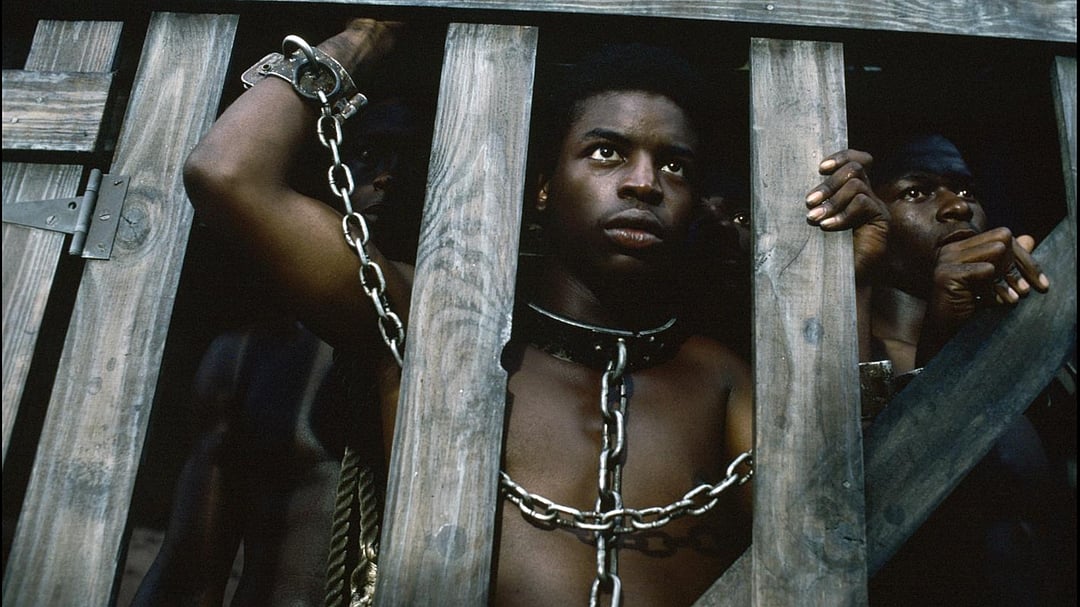 A Still From Roots